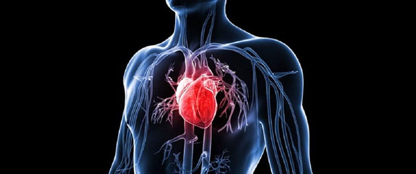 Kolegium Medic Klinika Beograd Internista Kardiovaskularni Sistem