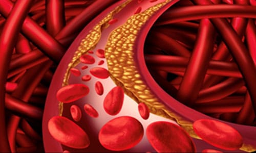 Kolegium Medic Klinika Internista Beograd