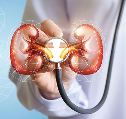 Nefrologija - Kolegium Medic Nefrologija - Kolegium Medic