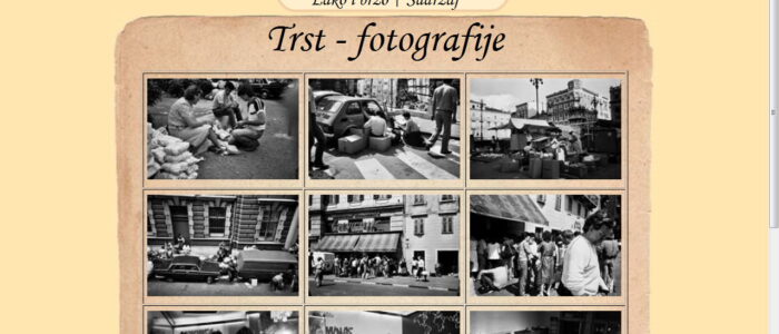 Audio i foto arhiv Simić